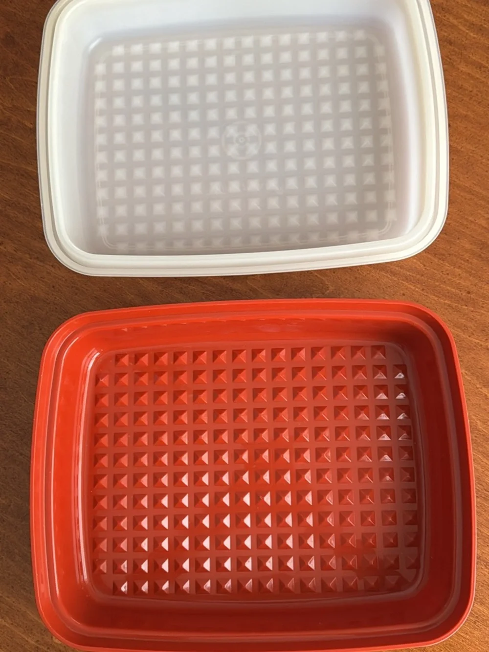 Vintage “Tupperware” Marinade Keeper
